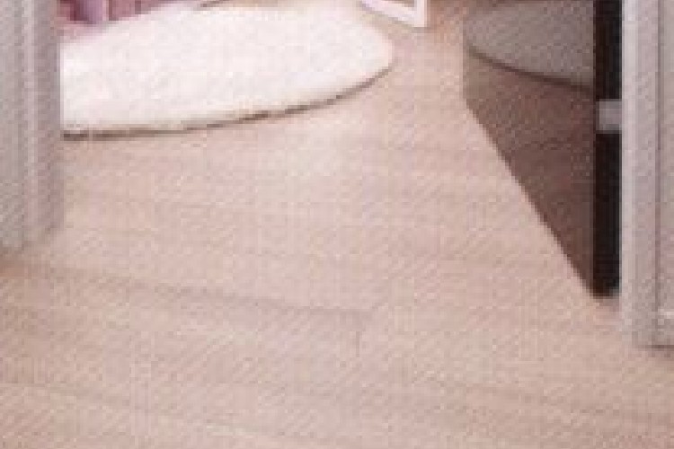 スカイティアラのフラット設計